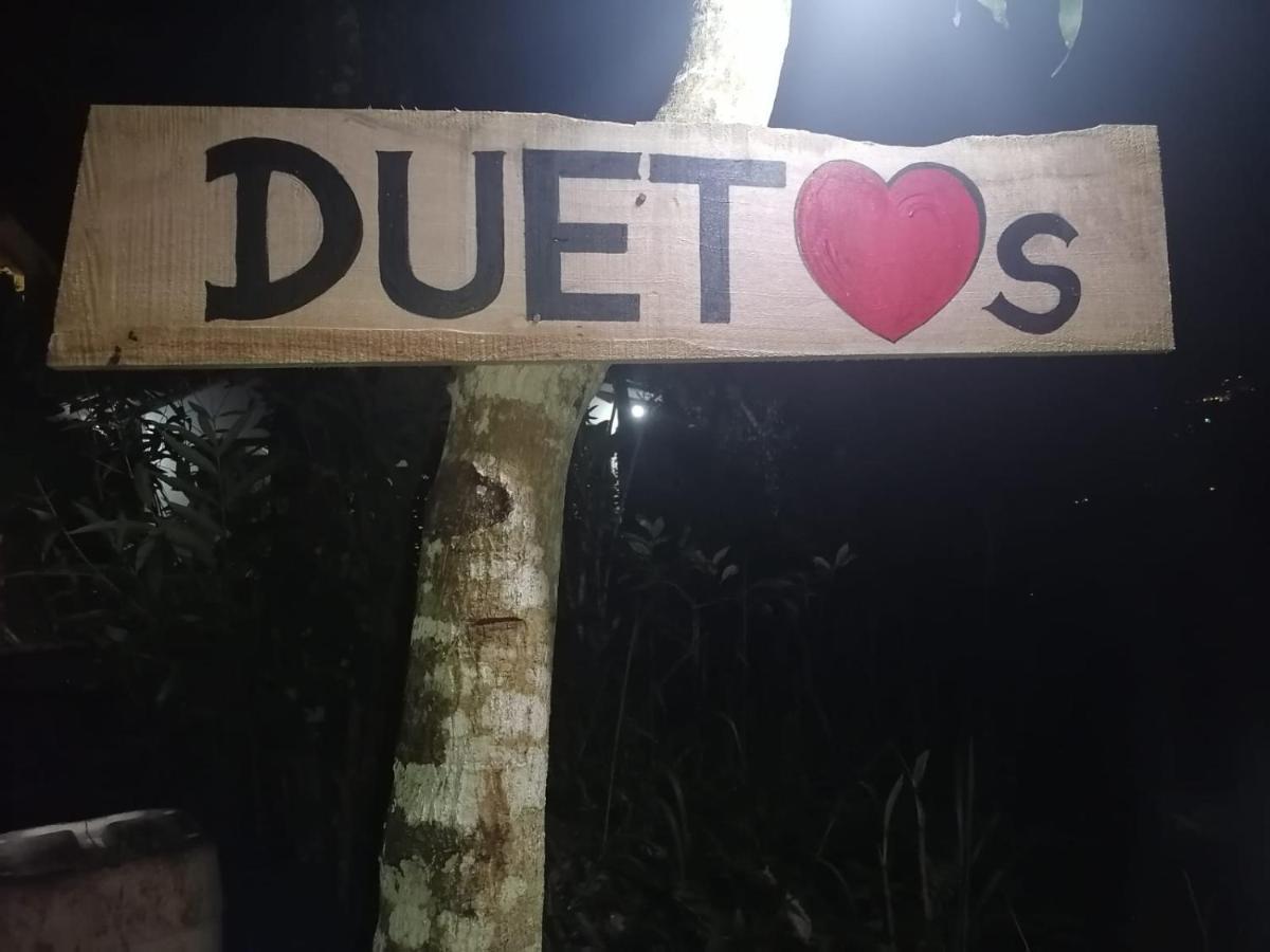 Duet Hearts Bed & Breakfast Ella Bagian luar foto